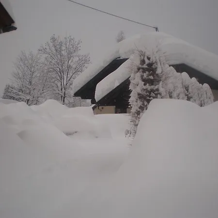 Zweikofelblick Apartment *